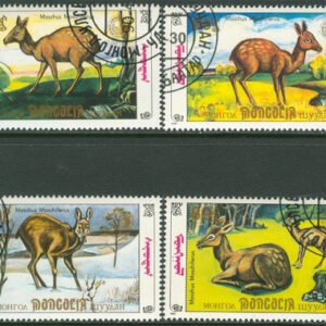 Mongoliet – M 2130-2133 Sibiriskt Myskdjur, 4 kpl