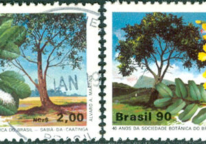 Brasilien – M 2340-2341 Blommor på träd, 2 kpl stpl