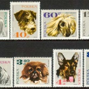 Polen – M 1898-1905 Hundar bla Schäfer & Pointer, 8 kpl **