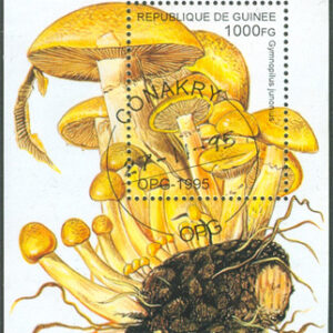 Guinea – M Bl 500 Svampar, Gymnopilus junonius. Block