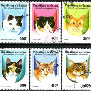 Guinea – M 1771-1776 Katter bla Maine Coon, serie 6 kpl