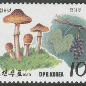 Nordkorea – M 2999 Svampar & Bär, märke **