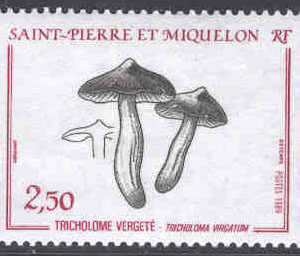 St. Pierre & Miquelon – M  569 Svampar, gallmuseron, 1 kpl**