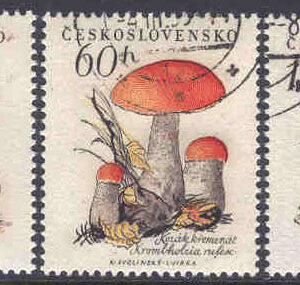 Tjeckoslovakien – M 1101-1105 Svampar, bl a flugsvamp, 5 kpl stpl