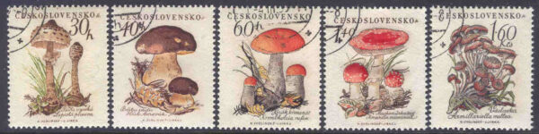 Tjeckoslovakien - M 1101-1105 Svampar, bl a flugsvamp, 5 kpl stpl