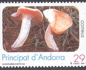 Andorra Sp – M  239 Svampar – Slemringad vaxskivling – Naturskydd, 1 kpl **