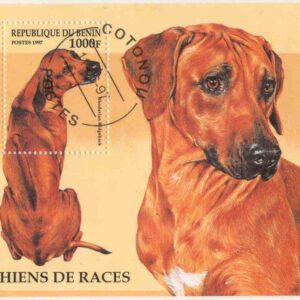 Benin – M BL  28 Hundar – Rhodesian Ridgeback, Block
