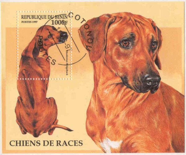 Benin - M BL  28 Hundar - Rhodesian Ridgeback, Block