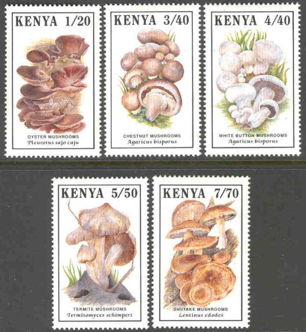 Kenya - M  486-490 Svampar, bl a shitake, 5 kpl**