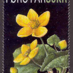 Färöarna – F  646 Nationalblomman Kabbleka, 1 kpl **