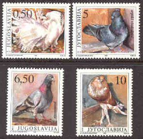 Jugoslavien – M 2425-2428 Fåglar – Duvraser bla Lepezan, 4 kpl **