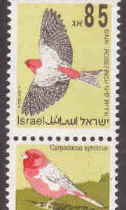 Israel – M 1286 + tab Sångfåglar, Sinairosenfink, 1 kpl + tab **
