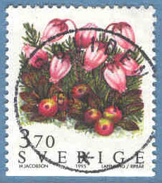 F 1902 Nära prakt BOLIDEN 05.11.96