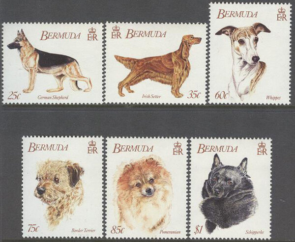 Bermuda - M  621-626 Hundar bla Whippet - Hunduppfödningsförening, 6 kpl **