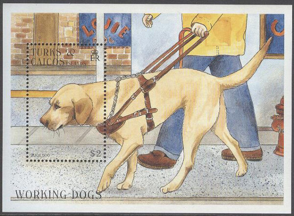 Turks & Caicos Islands - M BL 163 Hundar i Arbete -Labrador som Ledarhund, Block **