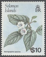 Solomon Islands – M  675 Blommor – Hemigraphis sp, märke kpl **