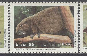 Brasilien – M 2259-2261 Skyddade Djur bla Skogshund, 3 kpl **