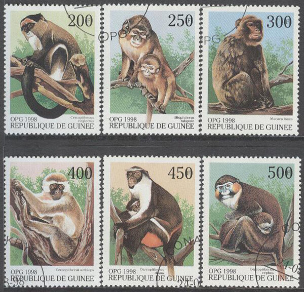 Guinea - M 1952-1957 Apor från hela världen, 6 kpl stpl