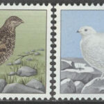 Island – F  425-426 Fåglar – Ripa i sommardräkt & vinterdräkt, 2 kpl **