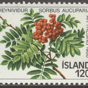 Island – F  591 Trädets År 1980, 1 kpl **