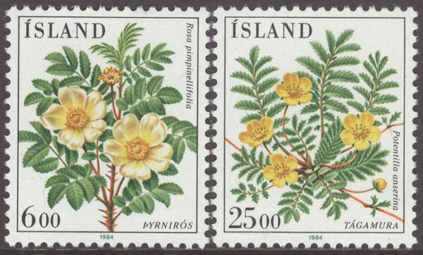 Island - F  649-650 Blommor VI, 2 kpl **