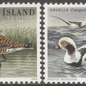 Island – F  728-729 Fåglar II – Rödspov och Alfågel, 2 kpl **