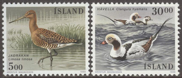 Island - F  728-729 Fåglar II - Rödspov och Alfågel, 2 kpl **