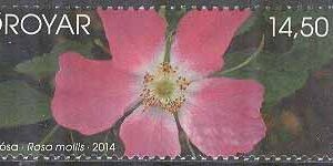 Färöarna – F  791 Blomster – Sepac 2014, 1 kpl **