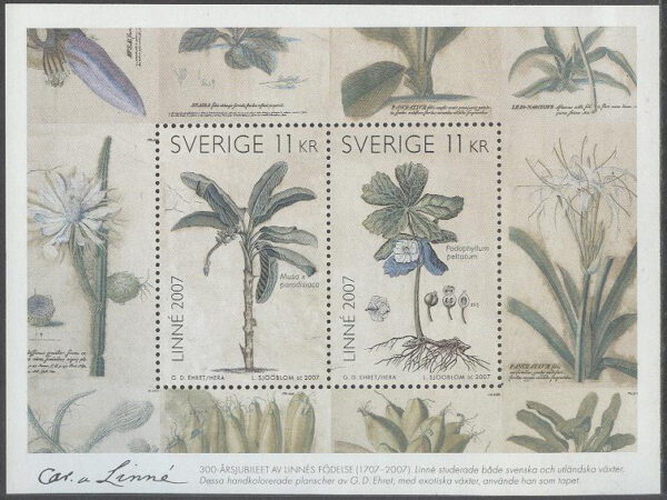 Sverige - F 2610-2611 (BL 21) Linnè 300-årsjubileum, block kpl **