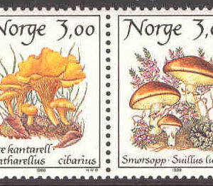 Norge – F 1053SX Matsvampar III, 2 kpl**