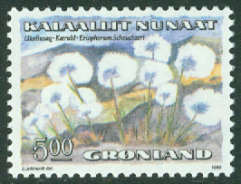 Grönland – F  197 Blommor I, Ängsull, 5.00 kr **