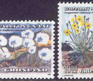 Grönland – F  197-198 Blommor I, ängsull, bergvallmo, 2 kpl**