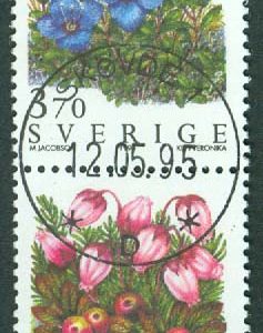 F 1902SX Fjällblommor. Prakt SKÖVDE 1  12.05.95  (R/Vg)