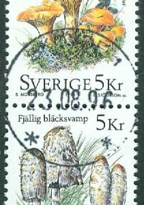 F 1976SX Svampar. Prakt SKÖVDE 1  23.08.96 (R/Vg)