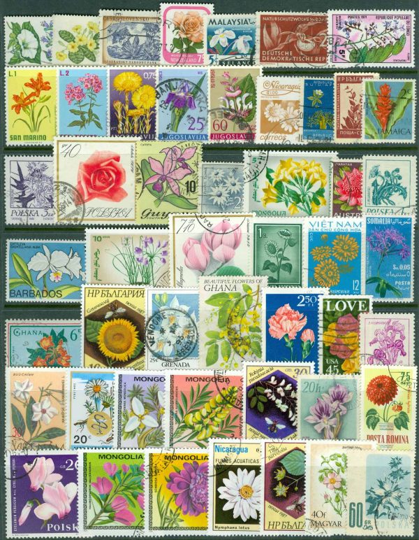 50 olika frimärken med blommor från hela världen