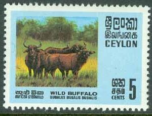 Ceylon – M  395 Vattenbufflar, 5 C **
