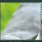 Bosnien-Hercegovina Serb. Rep – M  470-473  Katter, 5-strip kpl **