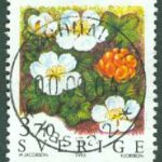 F 1901 Fjällblommor, Prakt NORDMALING 00.09.01  (AC/Å)