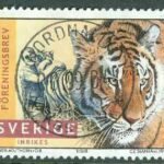 F 2049 Jan Lindblads tigrar. Prakt NORDMALING 00.09.04  (AC/Å)