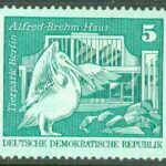 DDR – M 1947 Byggandet i DDR, 5 Pf **