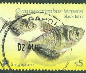 Singapore – M 2712 I Fiskar, Sorgmanteltetra, 5 $ stpl