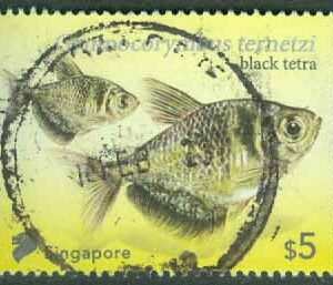 Singapore – M 2712 I Fiskar, Sorgmanteltetra, 5 $ stpl