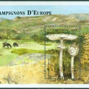 Komorerna – M 1489 (BL 395) Svampar, stor fjällskivling, block **