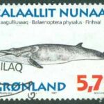 Grönland – F  307 Valar II, sillval. 5.75 kr stpl